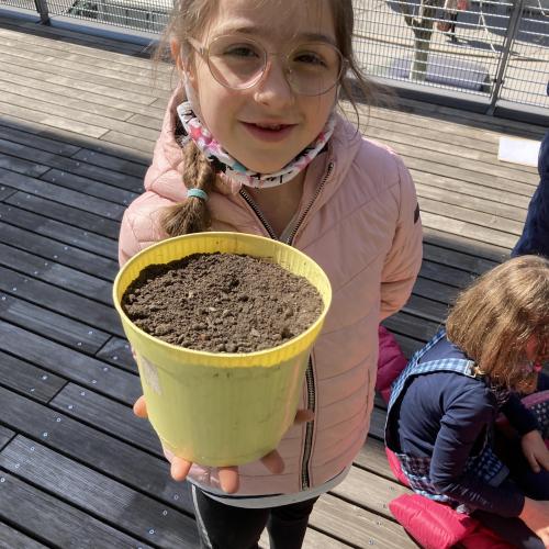 Frühling4