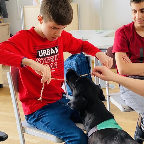 Aivi ist geschickt