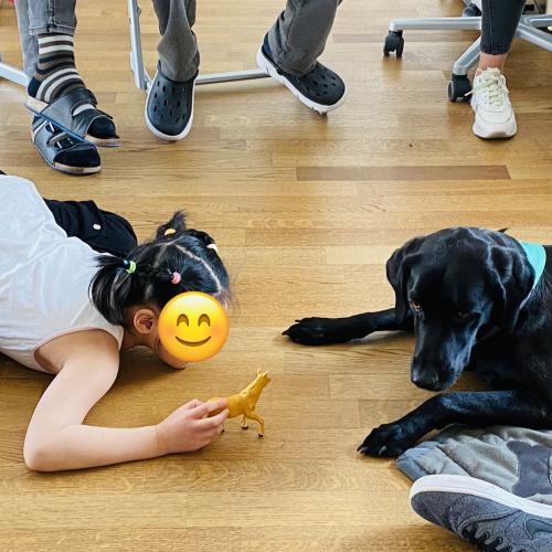 Wie wär‘s mit einem Spielzeug Pferd?