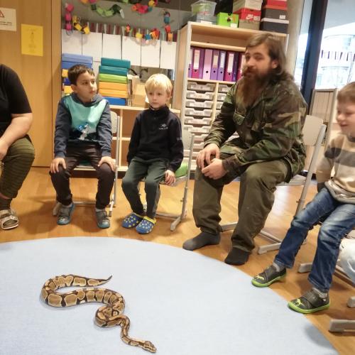 Schlangenbesuch