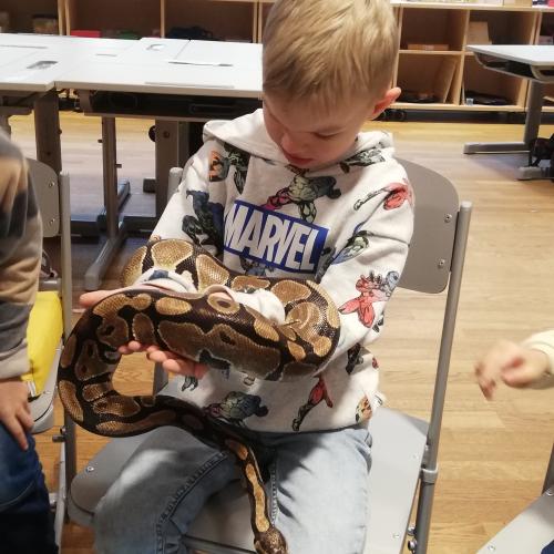 Schüler hält Schlange