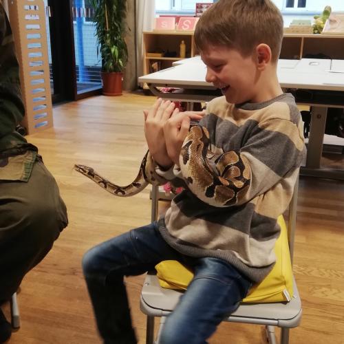 Schlangenbesuch