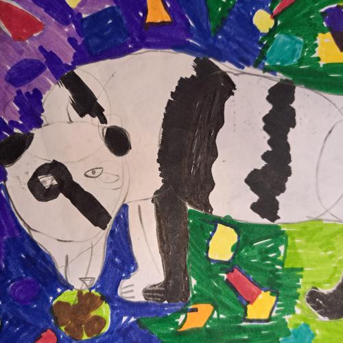 Panda