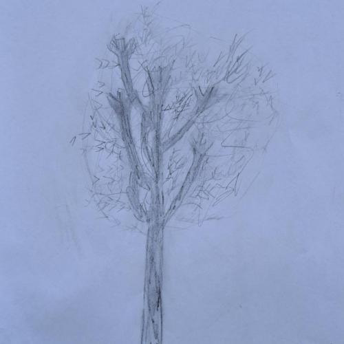 Baum1
