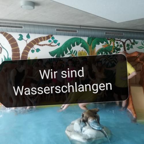 Wir sind Wasserschlangen