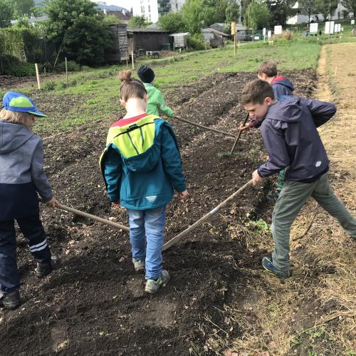 Kinder arbeiten am Feld