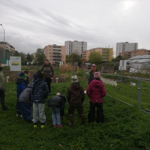 Kinder auf dem Weltacker