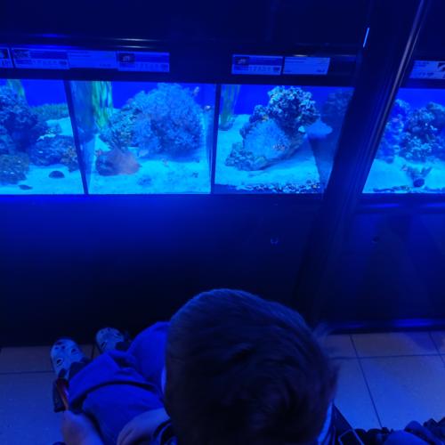 Aquarien