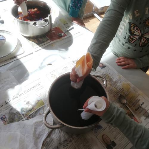Stoffe Färben mit Naturfarben