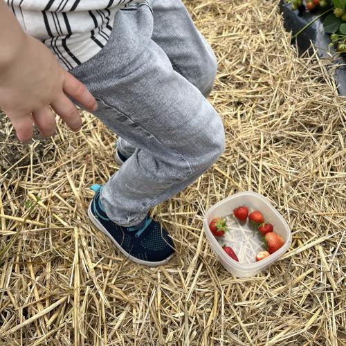 Kind mit Erdbeeren