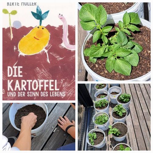Kartoffel to go